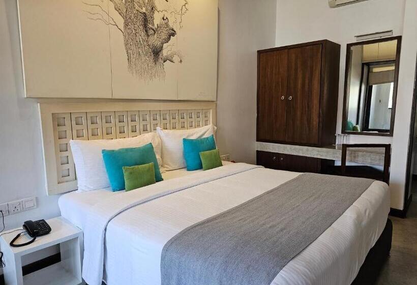 标准间, Blue Breeze