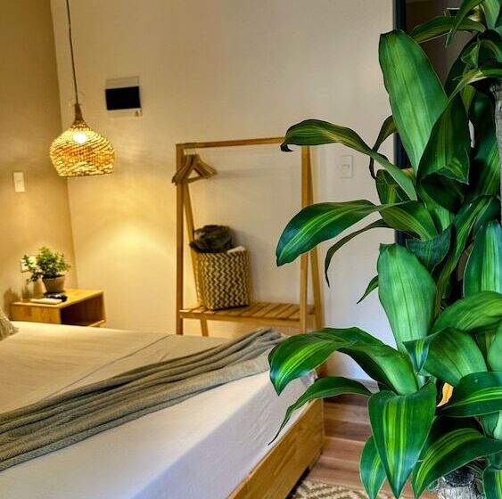 جناح, Luum Boutique