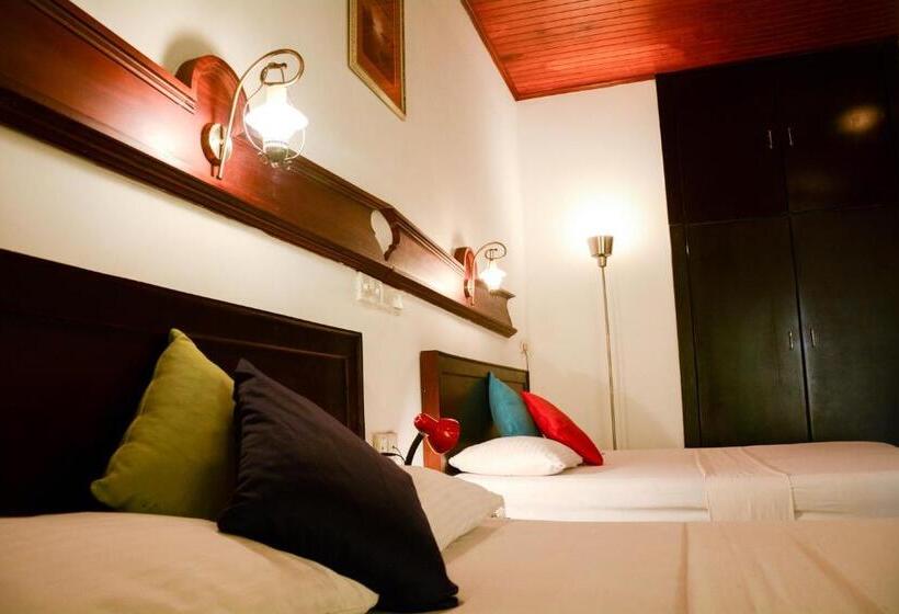 ファミリールーム, Spring View