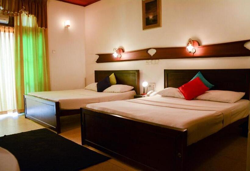 ファミリールーム, Spring View