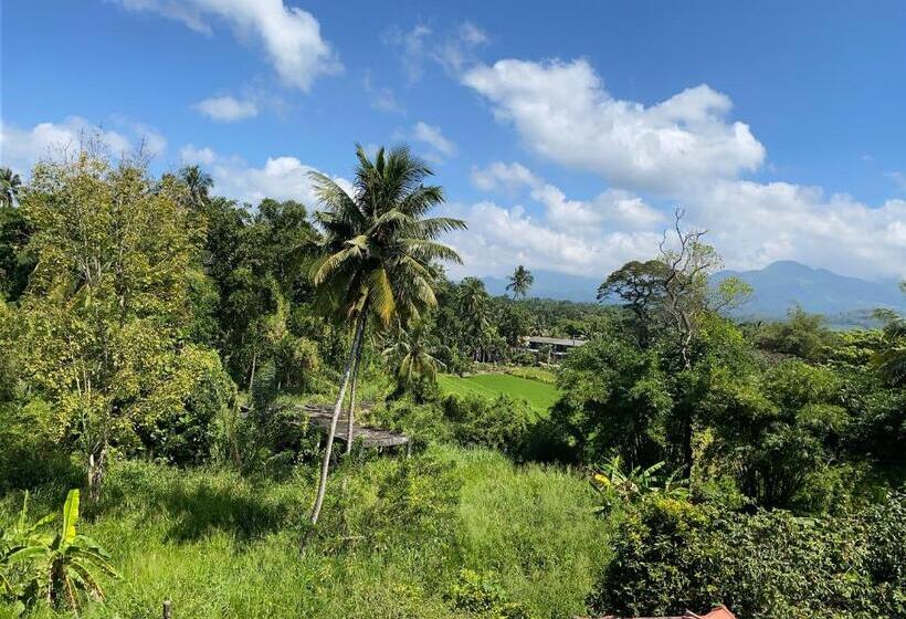 スーペリアファミリールーム, Spring View