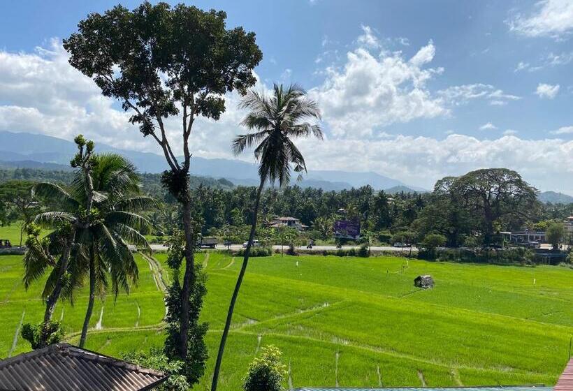 スーペリアファミリールーム, Spring View