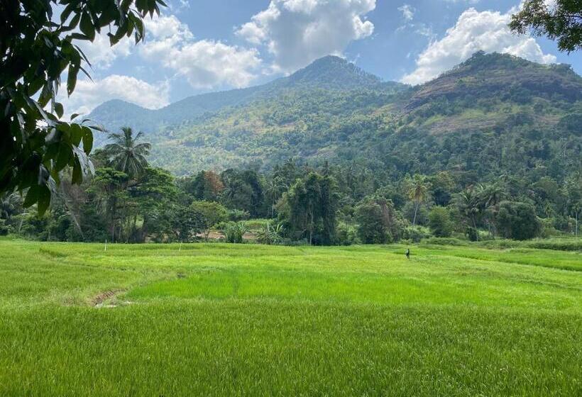 スタンダードルーム, Spring View