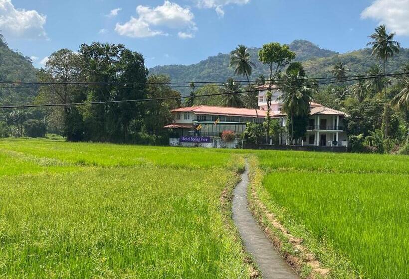 スタンダードルーム, Spring View