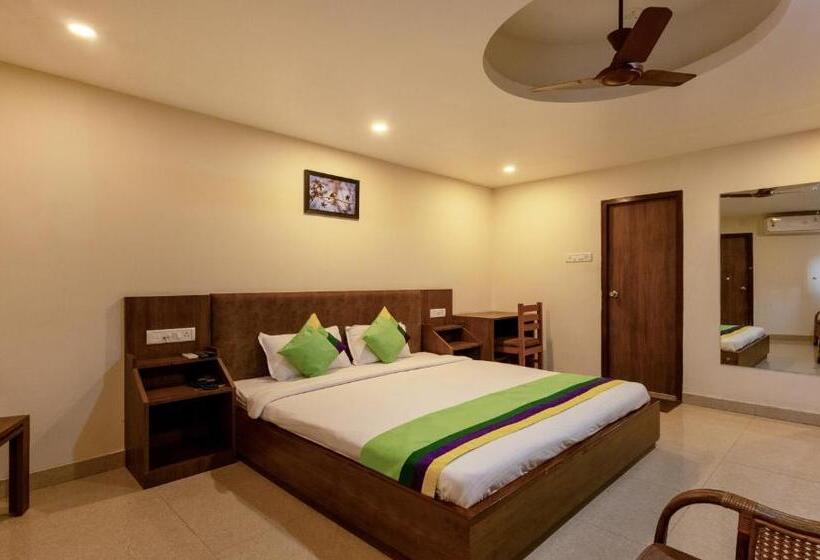 Habitació Deluxe, Treebo Swagatam Inn