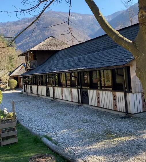 غرفة سوبيريور, Frații Jderi Utopia Verde