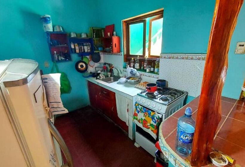 تختخواب در اتاق مشترک, Hostel Zwiebel