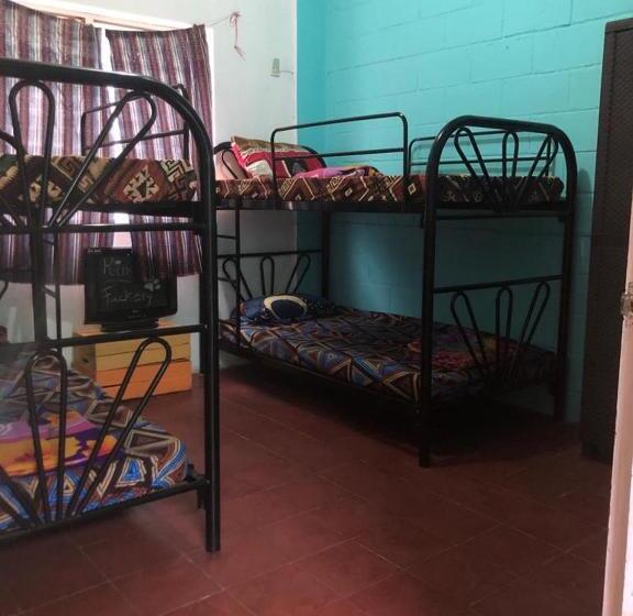 تختخواب در اتاق مشترک, Hostel Zwiebel