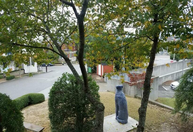 １ベッドルームハウス, Bluff View Inn