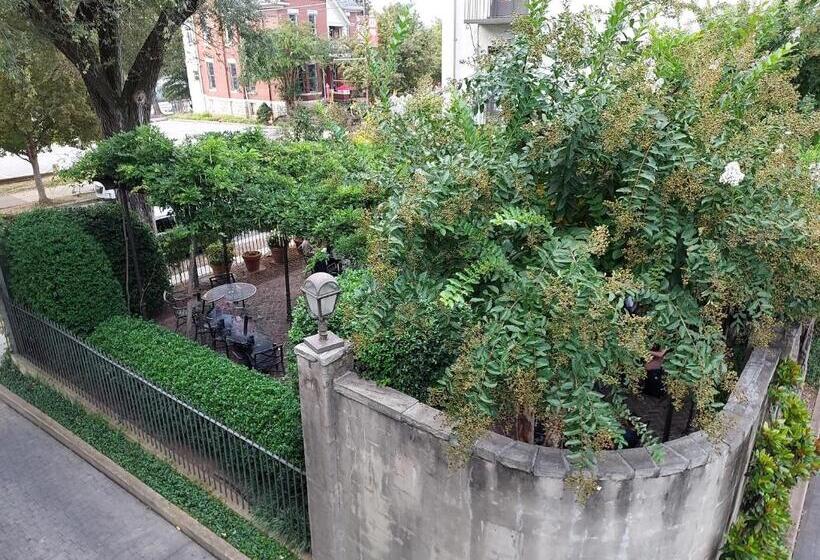 キングサイズベッドのスイートルーム, Bluff View Inn