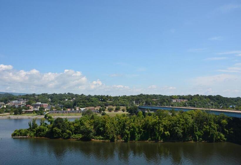 １ベッドルームハウス, Bluff View Inn