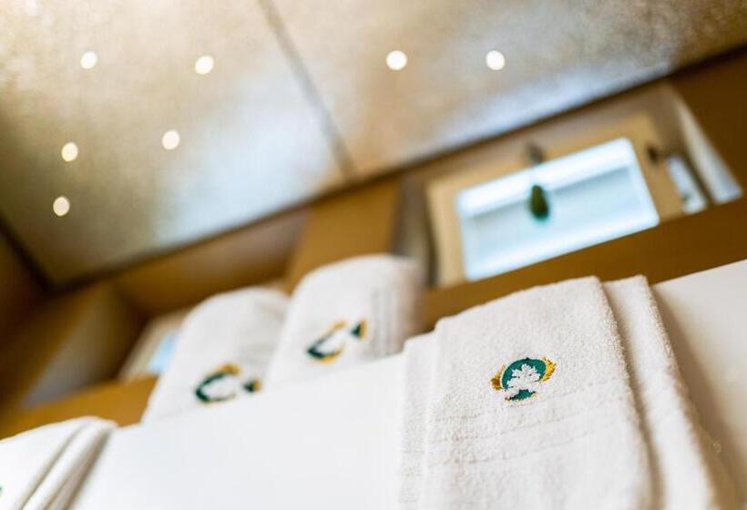 Полулюкс Повышенной Комфортности, Palazzo Scotto