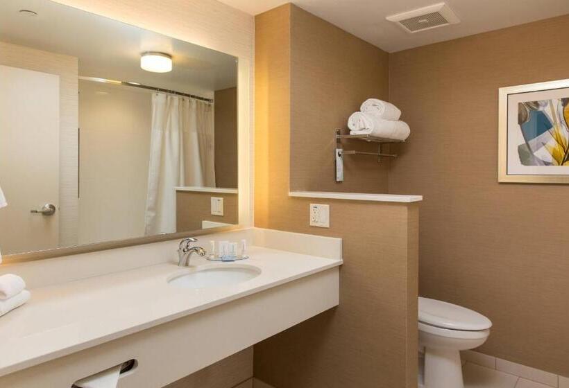 Люкс Кровать Кинг, Fairfield Inn & Suites By Marriott Sacramento Folsom