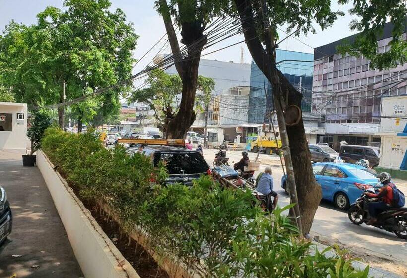 Delüks Oda, N3  Zainul Arifin