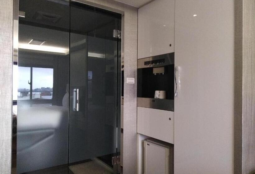 اتاق استاندارد با چشم‌انداز کوهستان, Open Room