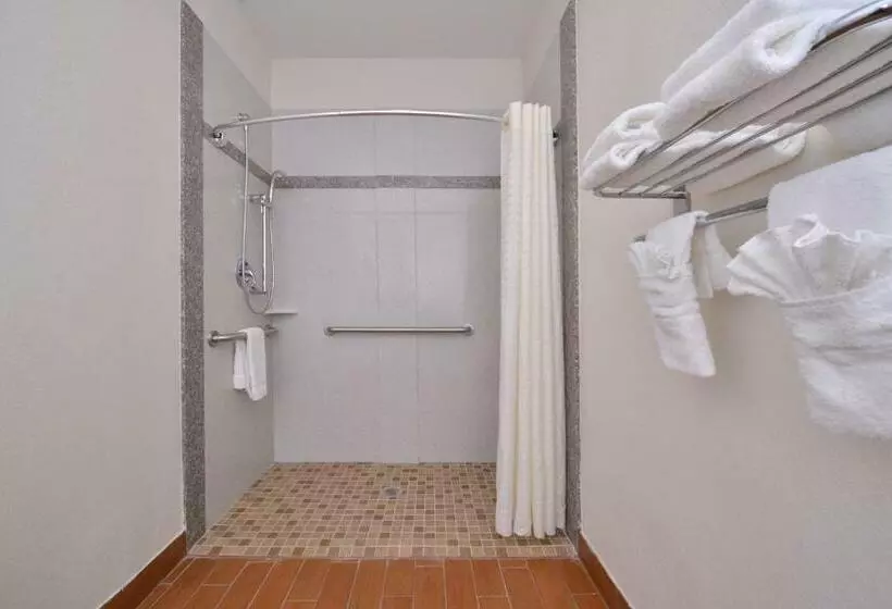 スタンダードルーム, Regency Inn & Suites Nw Houston