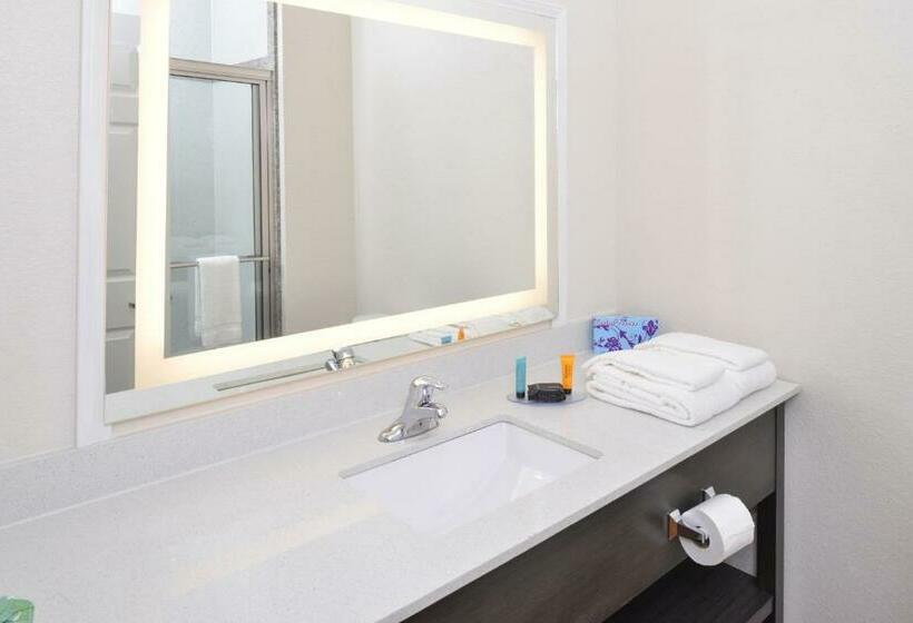 غرفة قياسية, Regency Inn & Suites Nw Houston