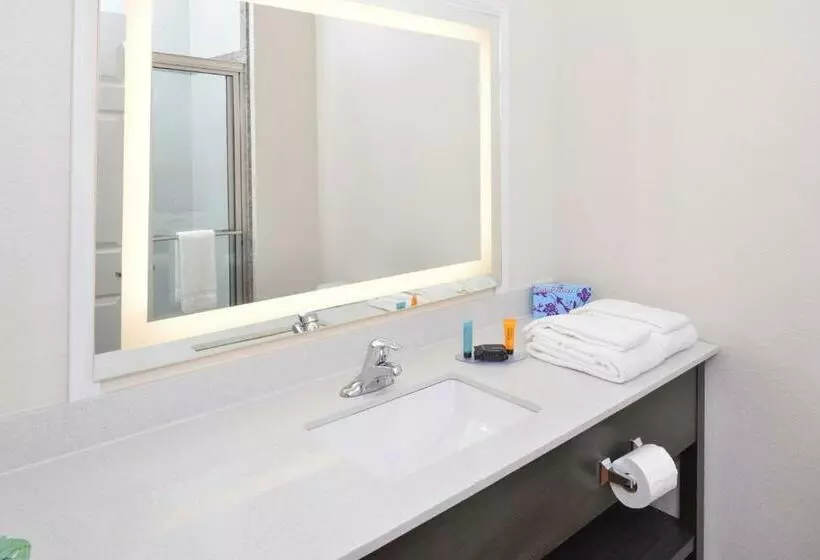 スタンダードルーム, Regency Inn & Suites Nw Houston