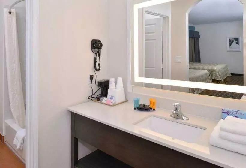 スタンダードルーム, Regency Inn & Suites Nw Houston