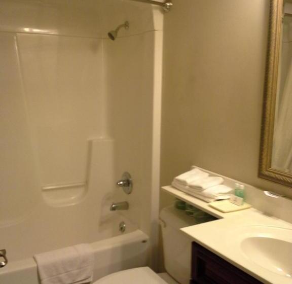Номер Стандарт, Gamble Farm Inn And Suites