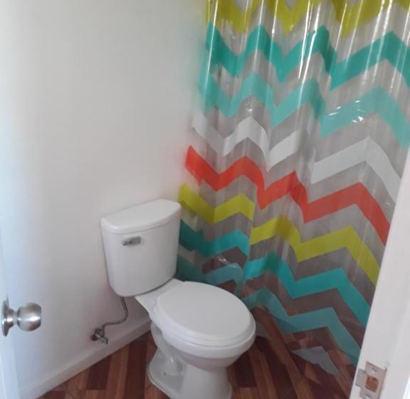 标准单人间, Hostal Alessandri