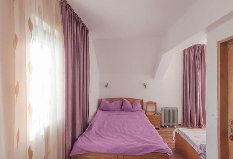 خانه 1 خوابه, Cabana Tomita