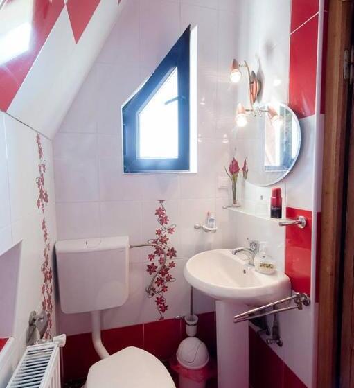 خانه 1 خوابه, Cabana Tomita