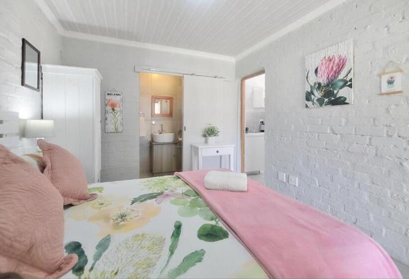 غرفة ديلوكس, The Cove