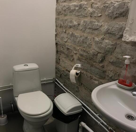 اتاق عادی یک تخته, Süda Hostel Süda 7