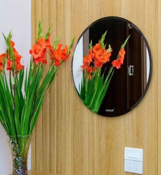 デラックスルーム, Viet Phuong Hotel Ninh Binh