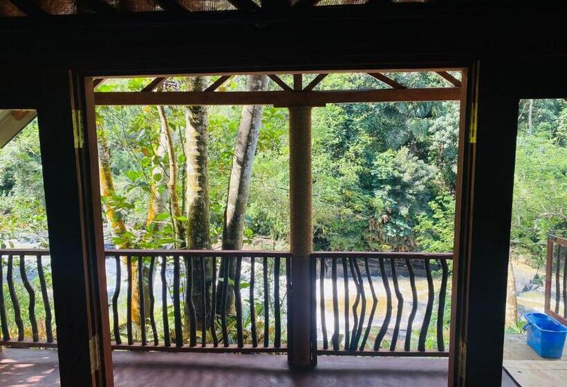 Семейный Номер Superior, The Rainforest Hideaway