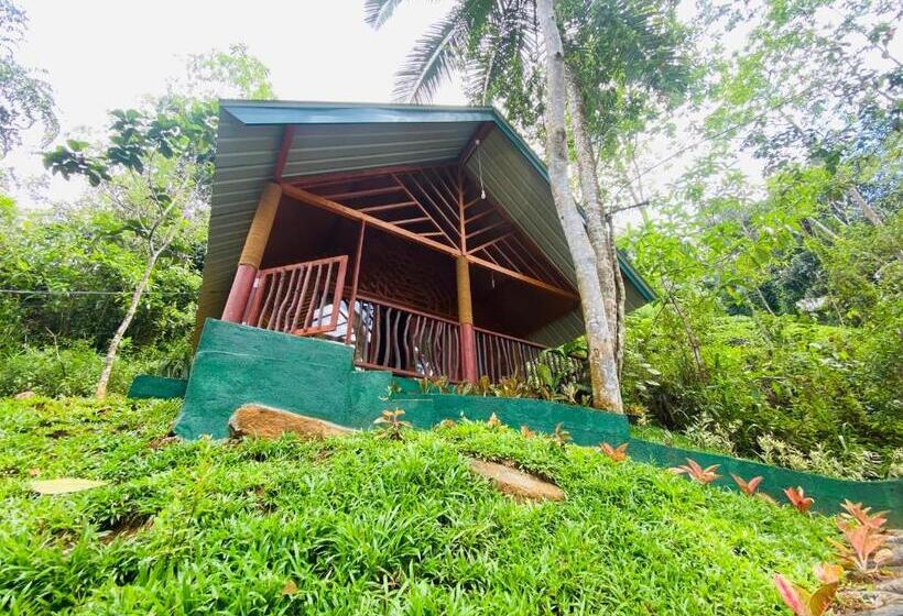 Семейный Номер Superior, The Rainforest Hideaway