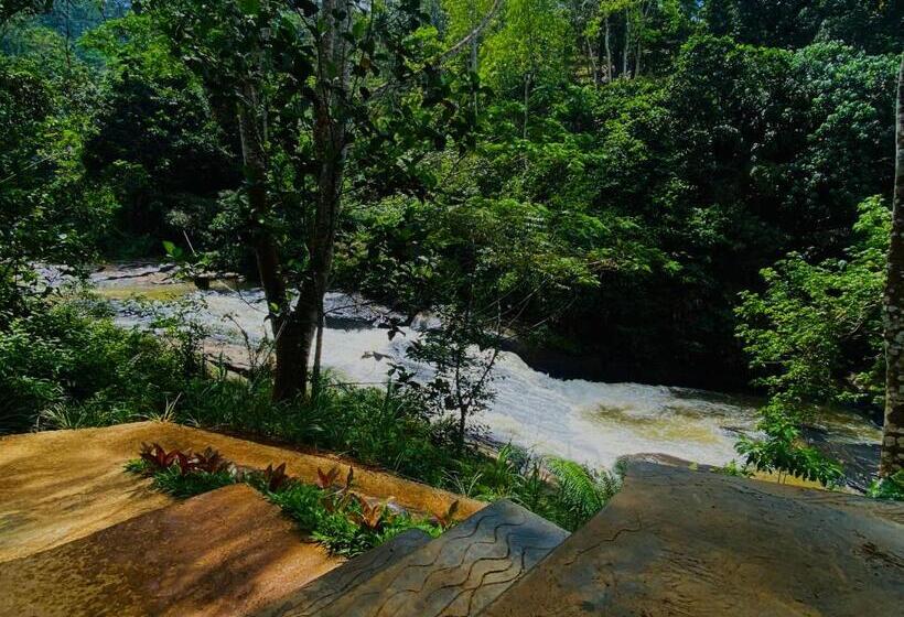 Семейный Номер Superior, The Rainforest Hideaway