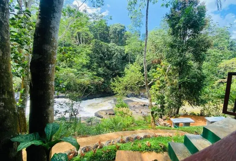スーペリアファミリールーム, The Rainforest Hideaway