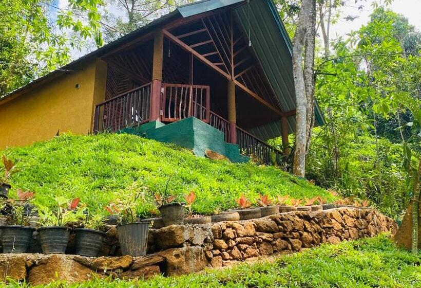 Семейный Номер Superior, The Rainforest Hideaway