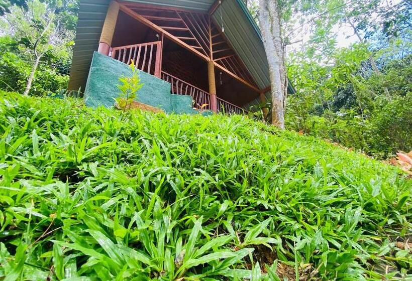 Семейный Номер Superior, The Rainforest Hideaway