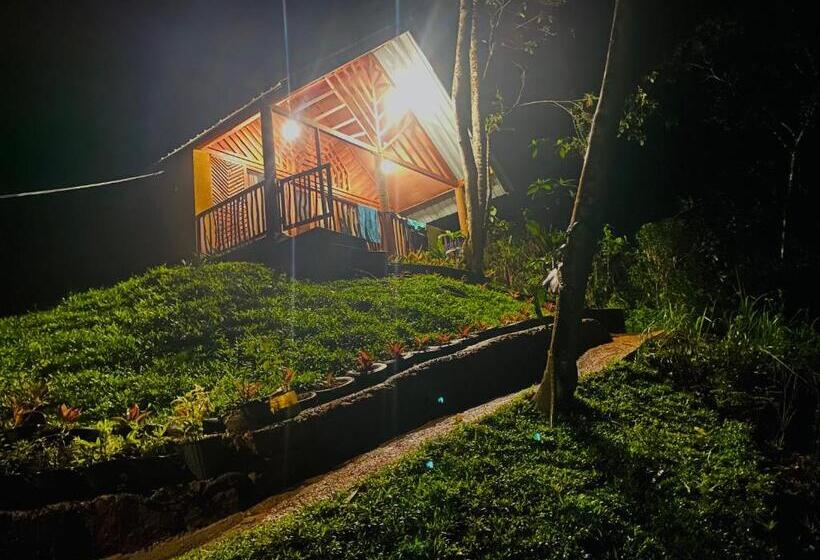 Семейный Номер Superior, The Rainforest Hideaway