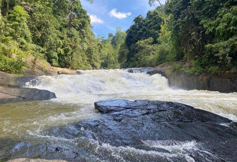 Семейный Номер Superior, The Rainforest Hideaway