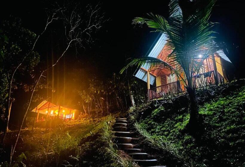 Номер Deluxe, The Rainforest Hideaway