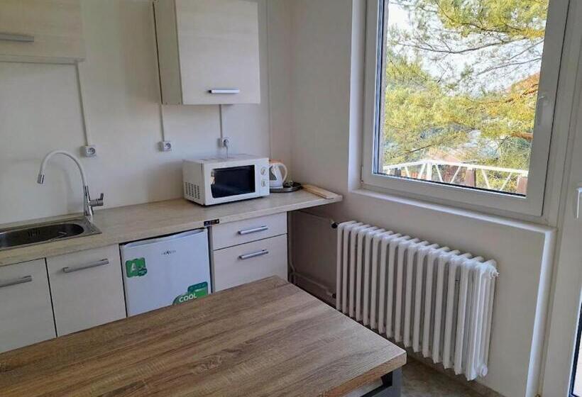 1 Szobás Apartman Erkéllyel, Lev I Sova