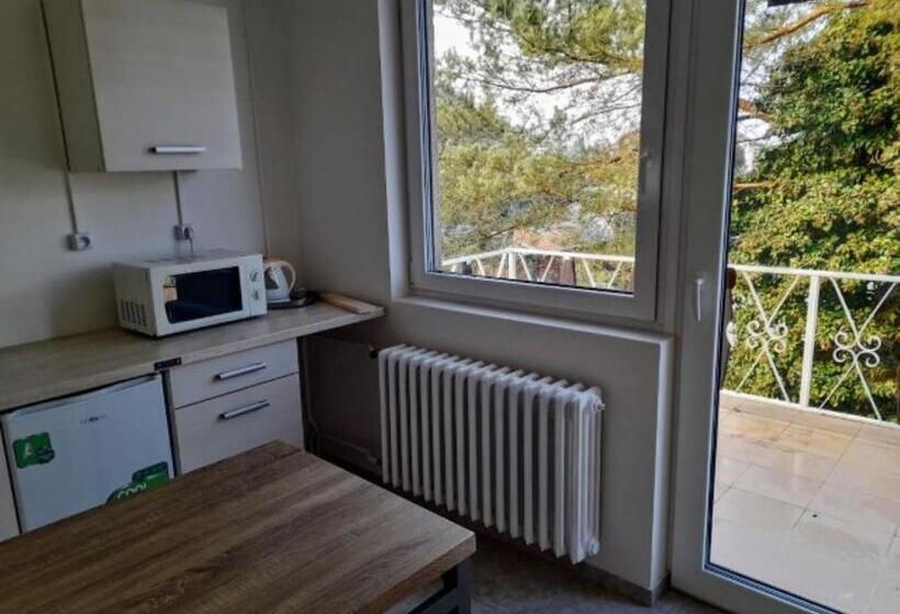 1 Szobás Apartman Erkéllyel, Lev I Sova