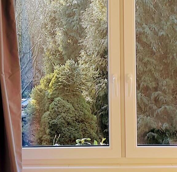 2 Szobás Apartman, Lev I Sova