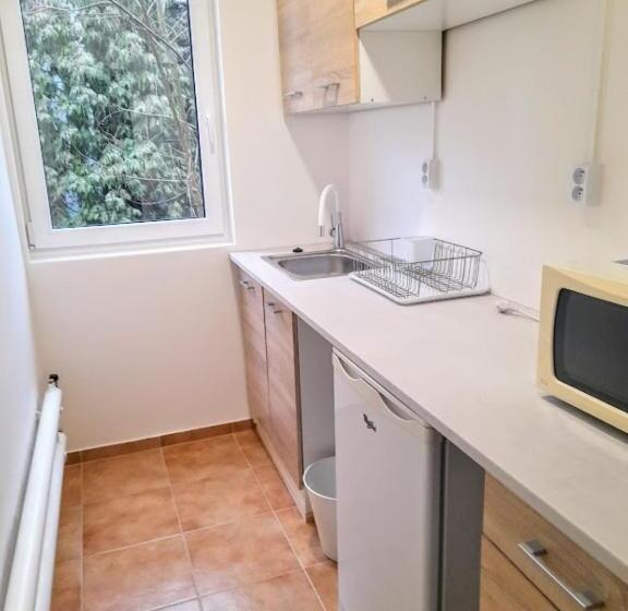 2 Szobás Apartman, Lev I Sova