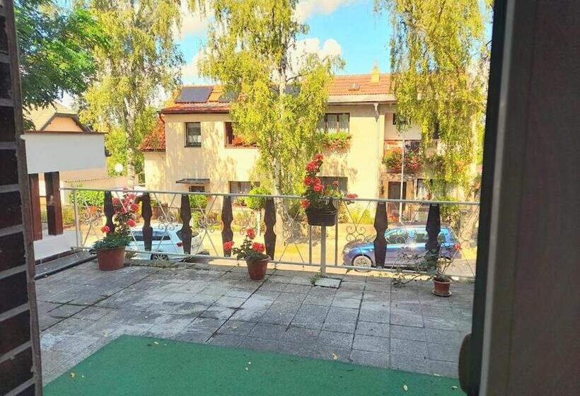 1 Szobás Apartman Terasszal, Lev I Sova