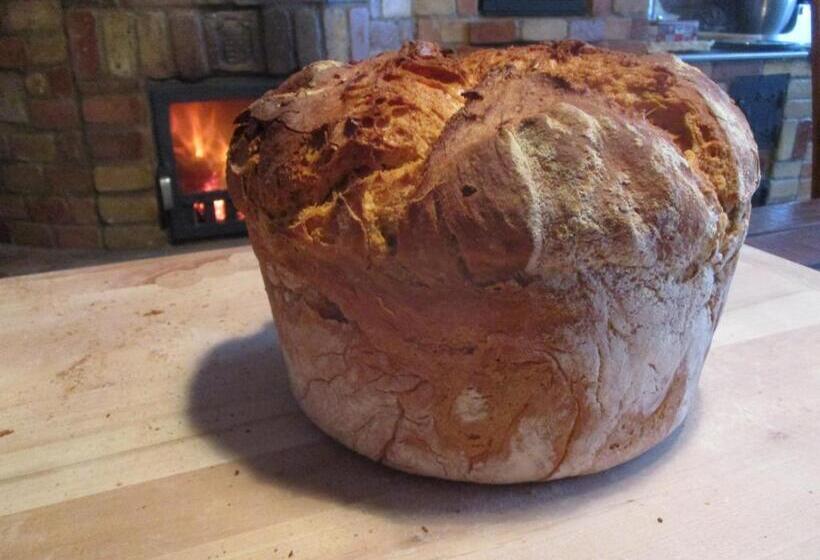 דירת שני חדרים, Tornácos Tanya Vendégház és Gasztroporta