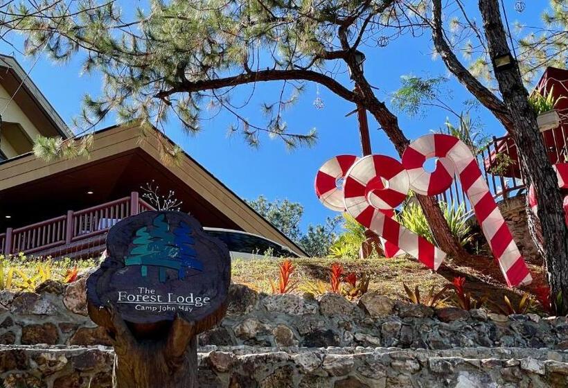 استودیو استاندارد با تخت کینگ, Mountain View Room At Forest Lodge Hotel, Camp John Hay Private Unit 549