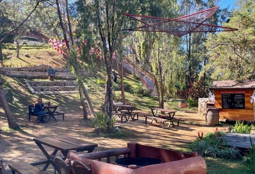 استودیو استاندارد با تخت کینگ, Mountain View Room At Forest Lodge Hotel, Camp John Hay Private Unit 549