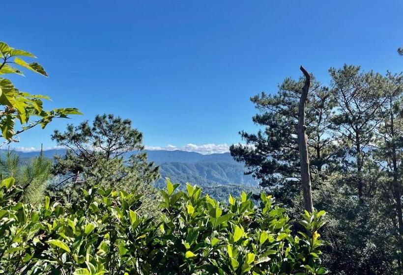 استودیو استاندارد با تخت کینگ, Mountain View Room At Forest Lodge Hotel, Camp John Hay Private Unit 549