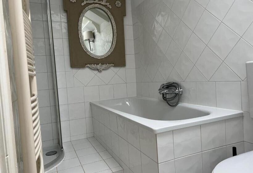 غرفة قياسية, Monumental House, Apartment In Center Haarlem