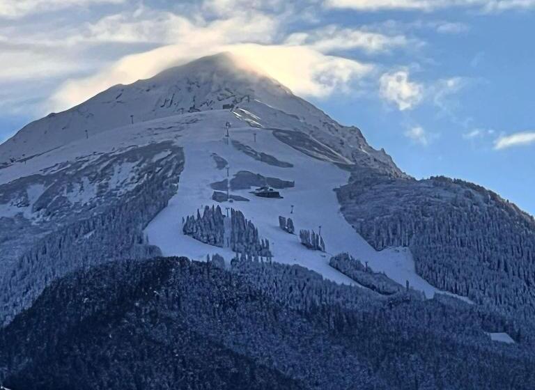 غرفة قياسية ثلاثية, Chalet Garibaldi Total Chalets Fully Catered